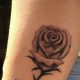 Best Rose Tattoo Ideas for Females: Designs & Meanings | Meaningful Tattoos: Symbols with Deep Personal Significance