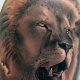 Best Lion Sleeve Tattoo Ideas & Designs | Meaningful Tattoos: Symbols with Deep Personal Significance