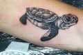 Best Turtle Tattoo Ideas & Designs Meaningful Tattoos: Symbols with Deep Personal Significance Best Turtle Tattoo Ideas & Designs | Meaningful Tattoos: Symbols with Deep Personal Significance