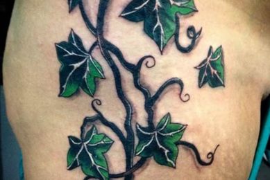Top 30+ Vine Tattoo Ideas & Designs Meaningful Tattoos: Symbols with Deep Personal Significance Top 30+ Vine Tattoo Ideas & Designs | Meaningful Tattoos: Symbols with Deep Personal Significance