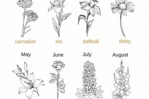 Top Birth Month Flower Tattoo Ideas & Designs Meaningful Tattoos: Symbols with Deep Personal Significance Top Birth Month Flower Tattoo Ideas & Designs | Meaningful Tattoos: Symbols with Deep Personal Significance